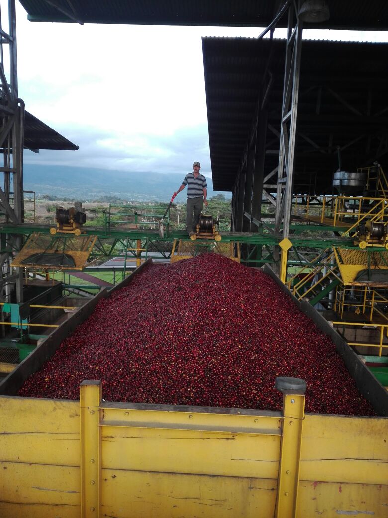 Imagen del producto 7
